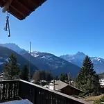 Chalet Family For 8 People, Spacious, Bright Gryon