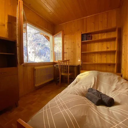 Alpstuga Family For 8 People, Spacious, Bright Gryon
