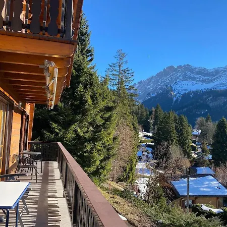 Family For 8 People, Spacious, Bright Alpstuga Gryon